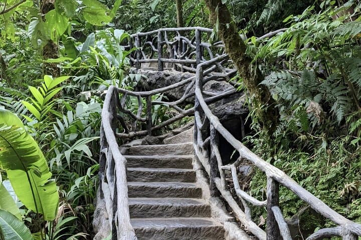 La Paz Waterfall Gardens & Finca Alsacia: Private Waterfall and Coffee Farm Day Trip from San José