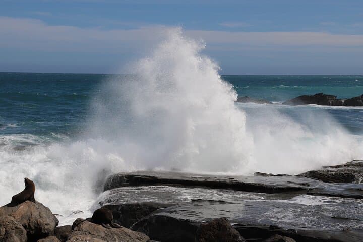 Private South Wairarapa Day Tour: Cape Palliser, Martinborough Wineries & Seal Colony photo 1
