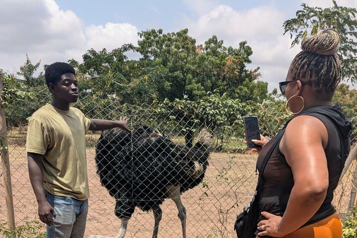 Accra Day Trip: Shai Hills Safari & Akosombo Volta River Cruise photo 5