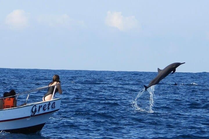 Puerto Escondido Dolphin & Whale Watching Boat Trip — Marine Wildlife Cruise photo 1