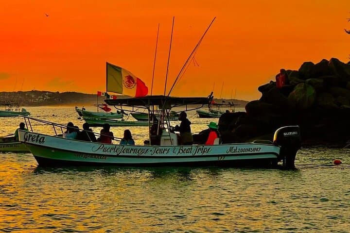 Puerto Escondido Dolphin & Whale Watching Boat Trip — Marine Wildlife Cruise photo 4