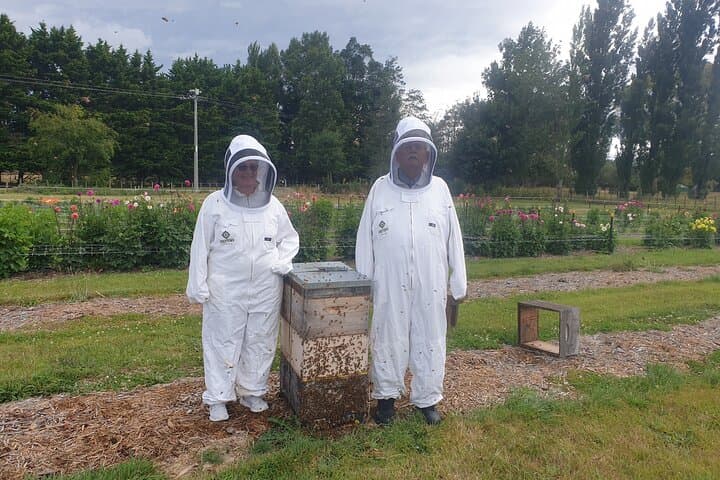 Martinborough Day Tour: Private Food, Wine & Artisan Tastings from Wellington photo 3