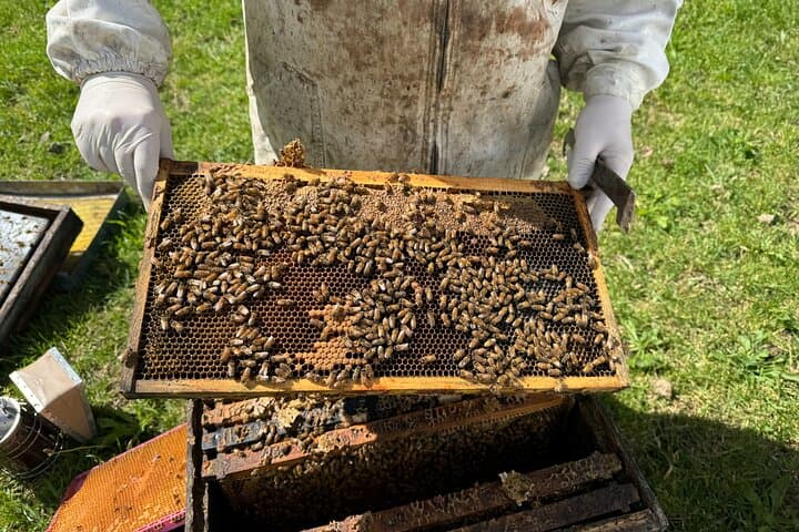 Martinborough Day Tour: Private Food, Wine & Artisan Tastings from Wellington photo 5