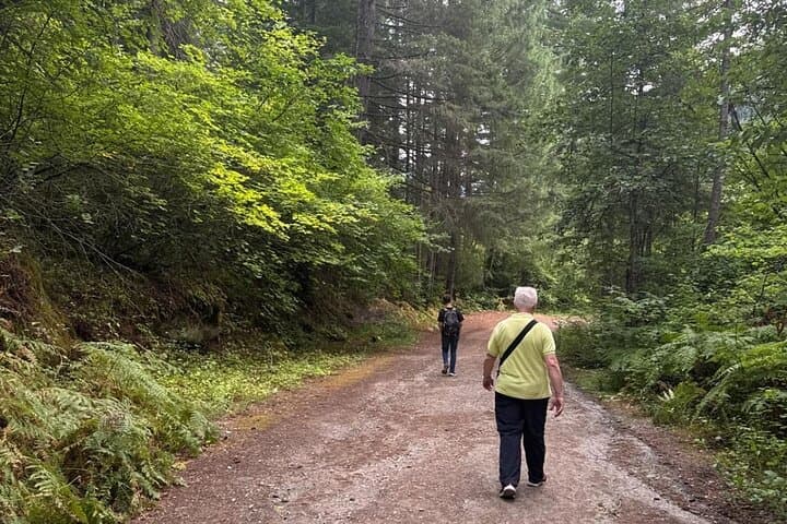 Fraser Canyon Day Tour: Bridal Falls, Othello Tunnels & Hell's Gate Airtram photo 5