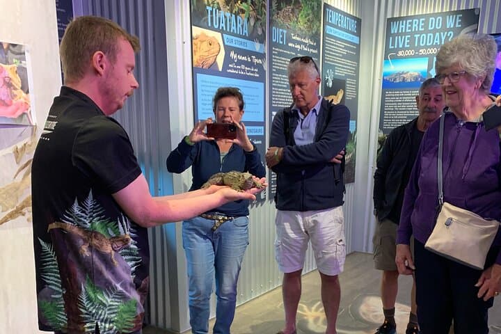 Franz Josef Wildlife Centre: Kiwi, Tuatara & Penguin Encounters photo 5
