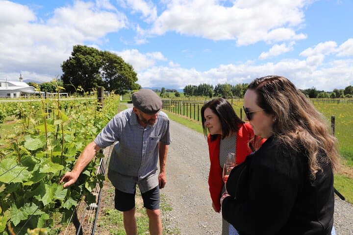 Martinborough Wine Day Trip from Wellington — Private Wairarapa Delights photo 2