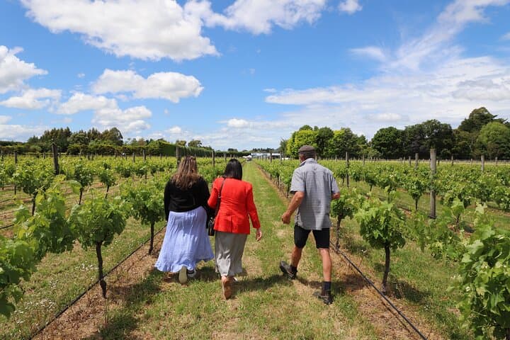 Martinborough Wine Day Trip from Wellington — Private Wairarapa Delights photo 4
