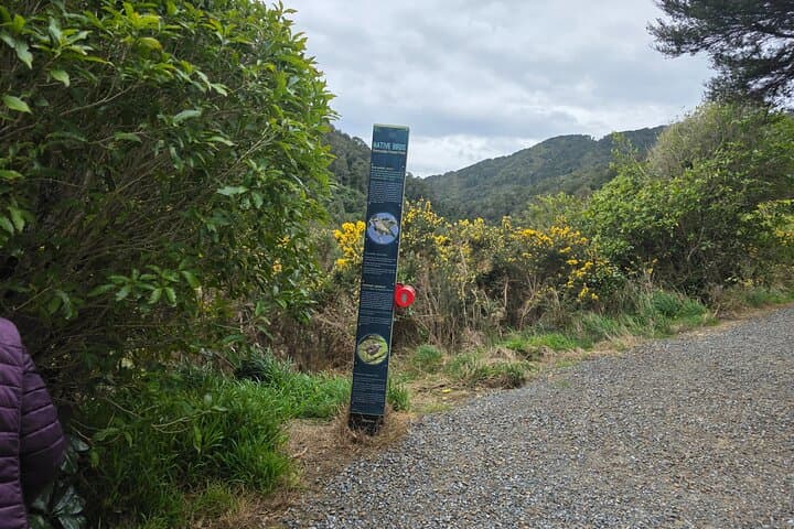 Wellington Native Bush Walking Tour — Rimutaka Forest, Eastbourne & Days Bay Ferry photo 3