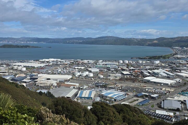 Wellington Native Bush Walking Tour — Rimutaka Forest, Eastbourne & Days Bay Ferry photo 4