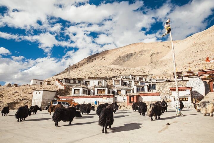 8-Day Lhasa to Everest Base Camp: Cultural Capitals, High Passes & Sunrise on Everest photo 2