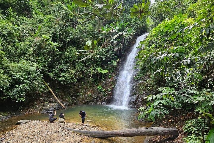 Langkawi ATV Jungle Ride to Durian Perangin Waterfall: Off-Road Jungle Adventure photo 5