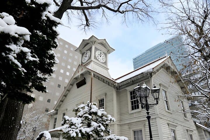 Sapporo City Discovery Private Tour — Full-Day Local Guide-Led Itinerary photo 3