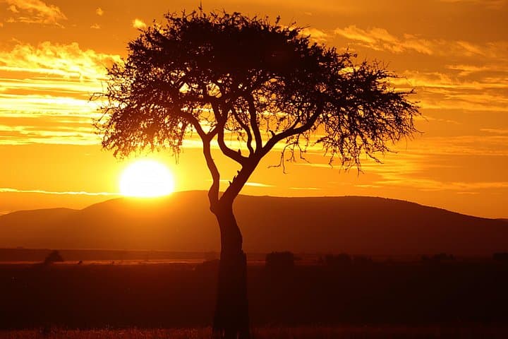 Maasai Mara 3-Day Safari Adventure: Big Cats, Migration & Rift Valley Drives photo 2