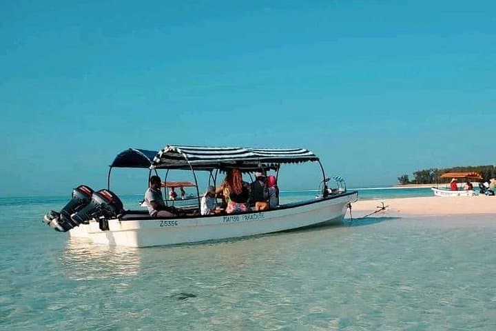 Private Half-Day Dolphins and Snorkeling at Mnemba Atoll — Zanzibar Boat Trip photo 4