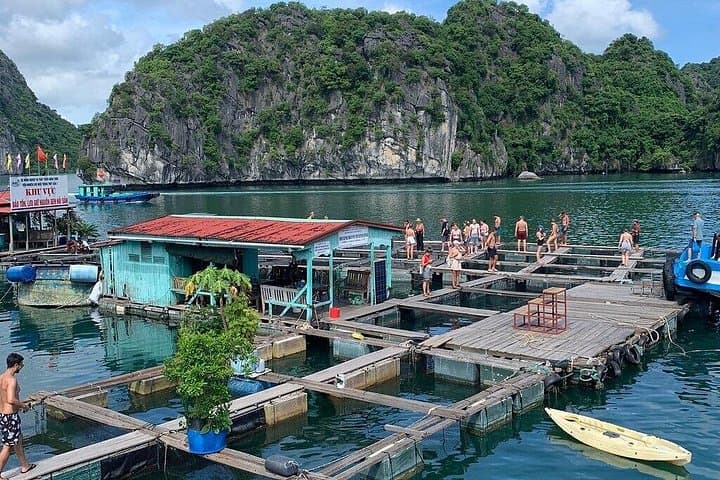 2-Day Cat Ba National Park & Lan Ha Bay Adventure — Kayaking, Trekking & Bioluminescent Night photo 3