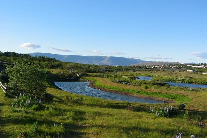 Private Reykjavík Discovery: City Sights, Coast and Nature in One Day photo 6