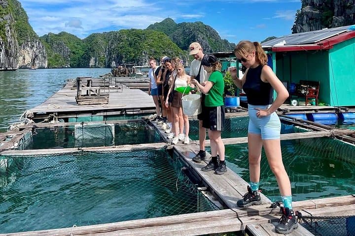 Cat Ba 2-Day Adventure: Night Kayak, Trek & Bike Lan Ha Bay photo 1