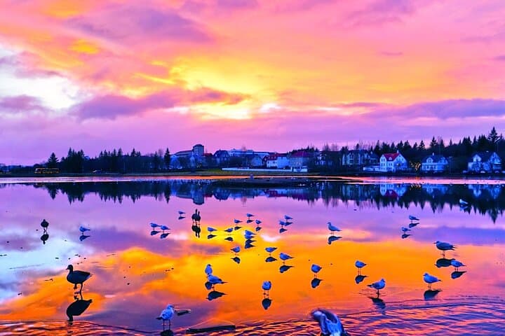 Reykjavík by Night: Illuminated Landmarks, Coastal Walks & Aurora Chances