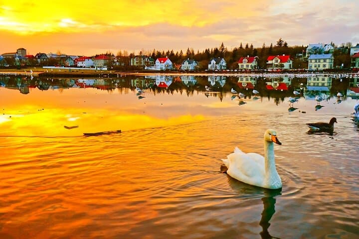 Reykjavík by Night: Illuminated Landmarks, Coastal Walks & Aurora Chances photo 3