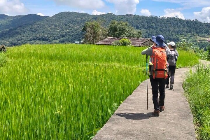 One-Day Hike to Australian Camp & Dhampus — Pokhara Ridge Views in a Day photo 6