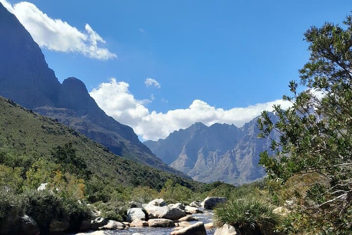Aquila Game Reserve Private Safari Day Tour from Cape Town photo 4