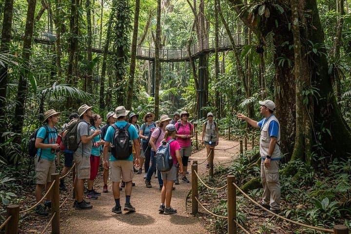 Half-Day Wildlife and Rainforest Tour from Nouméa Cruise Terminal photo 5