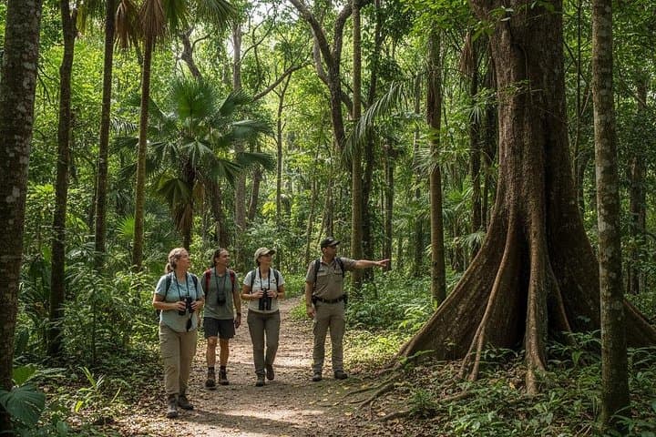 Half-Day Wildlife and Rainforest Tour from Nouméa Cruise Terminal photo 4