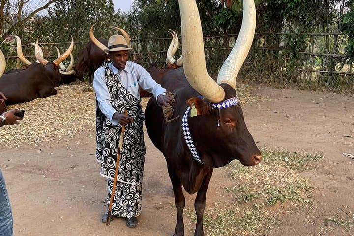 King’s Palace and Huye Coffee Plantation Day Tour from Kigali