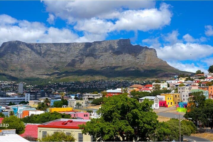 Cape Peninsula Full-Day Tour: Penguins, Cape Point & Chapman's Peak