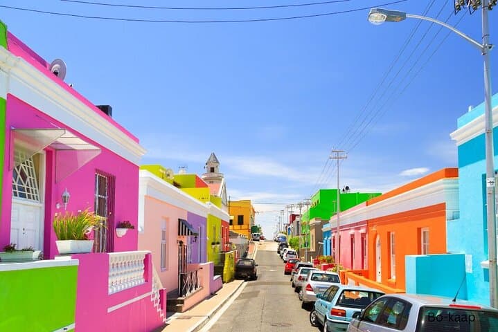 Cape Peninsula Full-Day Tour: Penguins, Cape Point & Chapman's Peak photo 2
