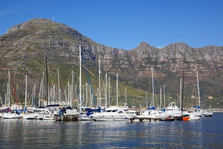 Cape Peninsula Full-Day Tour: Penguins, Cape Point & Chapman's Peak photo 4
