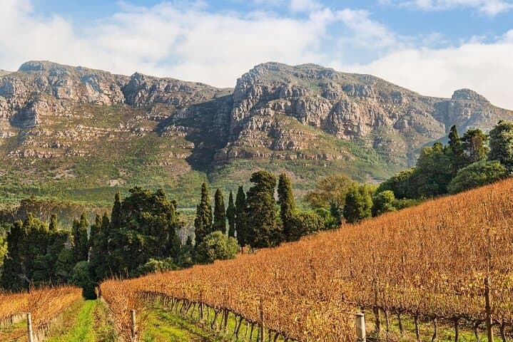 Full-Day Cape Winelands Tour: Stellenbosch, Franschhoek & Paarl Wine Tasting photo 3