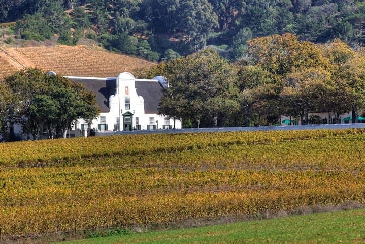 Full-Day Cape Winelands Tour: Stellenbosch, Franschhoek & Paarl Wine Tasting photo 4