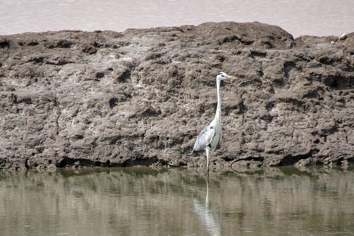 3-Day Private Adventure: Dholavira, White Rann & Little Rann Jeep Safari photo 4
