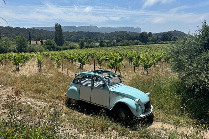 Marseille to Cassis by 2CV Citroën: Coastal Drive through the Calanques photo 4