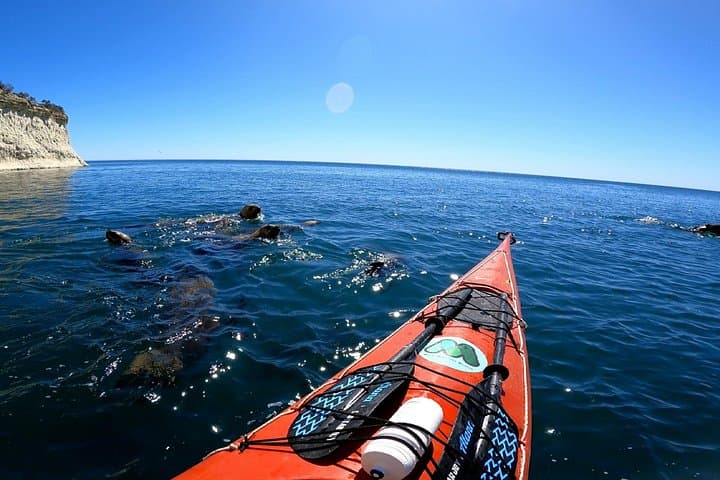 Punta Loma Sea Lion Kayak Experience — Paddle Puerto Madryn's Marine Reserve