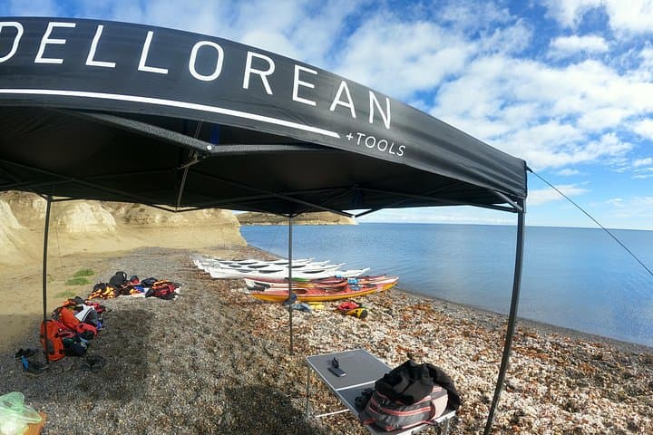 Punta Loma Sea Lion Kayak Experience — Paddle Puerto Madryn's Marine Reserve photo 4