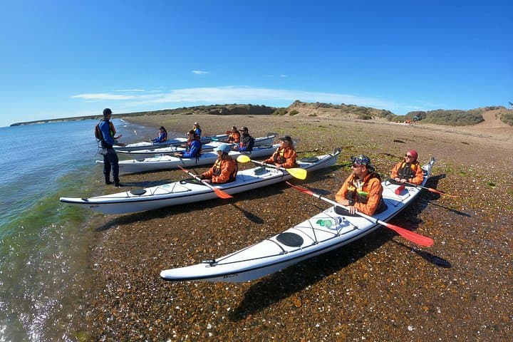 Punta Loma Sea Lion Kayak Experience — Paddle Puerto Madryn's Marine Reserve photo 2