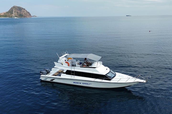 Full-Day Komodo Islands Speedboat Adventure: Padar, Pink Beach, Komodo & Manta Point photo 4
