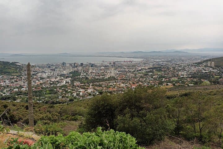 Robben Island & Table Mountain: Full-Day Cape Town History and Panorama Tour photo 4