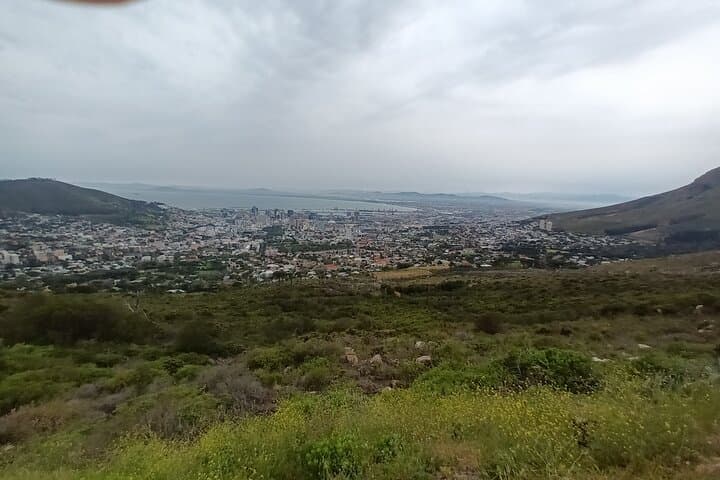 Robben Island & Table Mountain: Full-Day Cape Town History and Panorama Tour photo 5