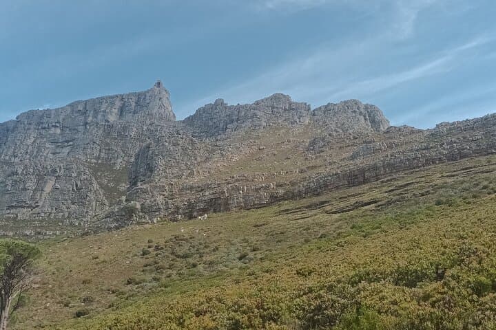 Robben Island & Table Mountain: Full-Day Cape Town History and Panorama Tour photo 6