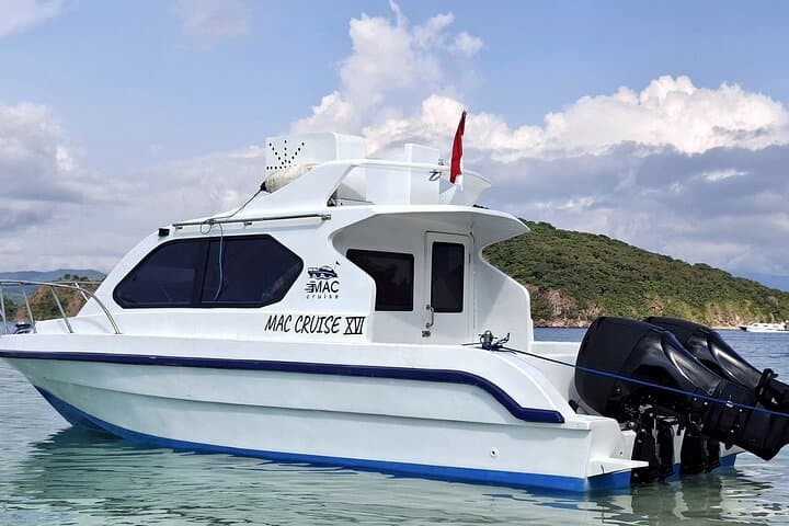 Komodo in a Day: Padar, Pink Beach, Manta Point & Komodo Dragons