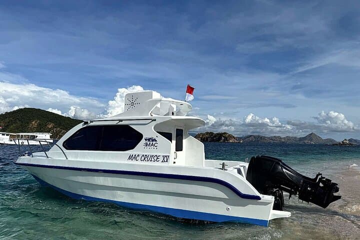 Komodo in a Day: Padar, Pink Beach, Manta Point & Komodo Dragons photo 6