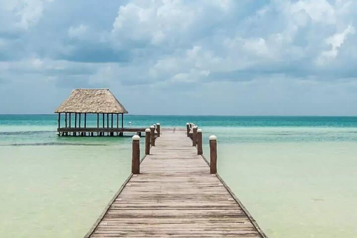 Holbox Bird Island, Passion Island & Yalahau Cenote Day Tour photo 2