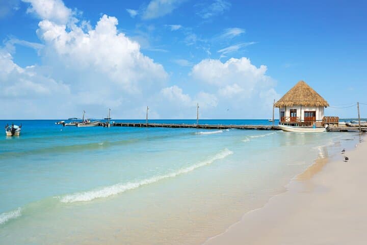 Holbox Bird Island, Passion Island & Yalahau Cenote Day Tour photo 3