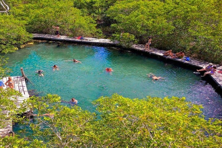 Holbox Bird Island, Passion Island & Yalahau Cenote Day Tour photo 5