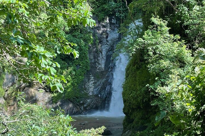 Las Palmas Waterfall: Private Jungle Hike from Puerto Vallarta