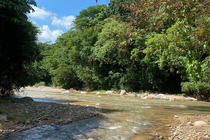 Las Palmas Waterfall: Private Jungle Hike from Puerto Vallarta photo 3