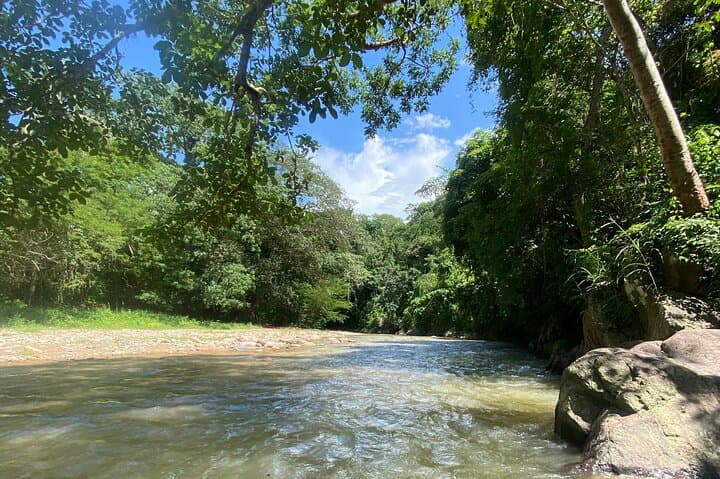 Las Palmas Waterfall: Private Jungle Hike from Puerto Vallarta photo 4